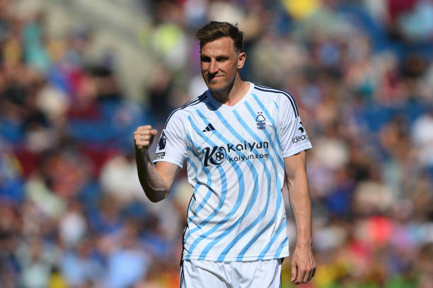 展现出令人 展现出令人