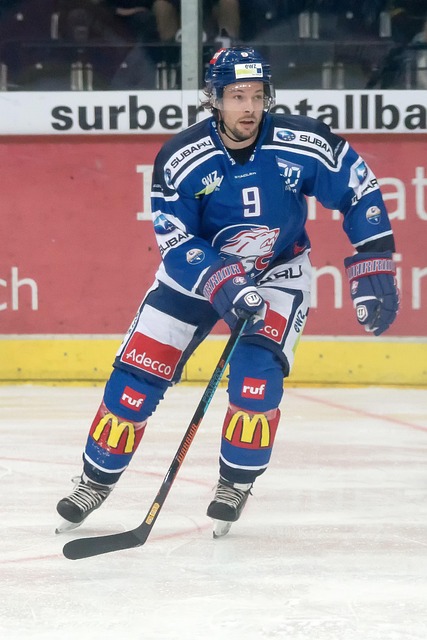 文化瑰宝 文化瑰宝