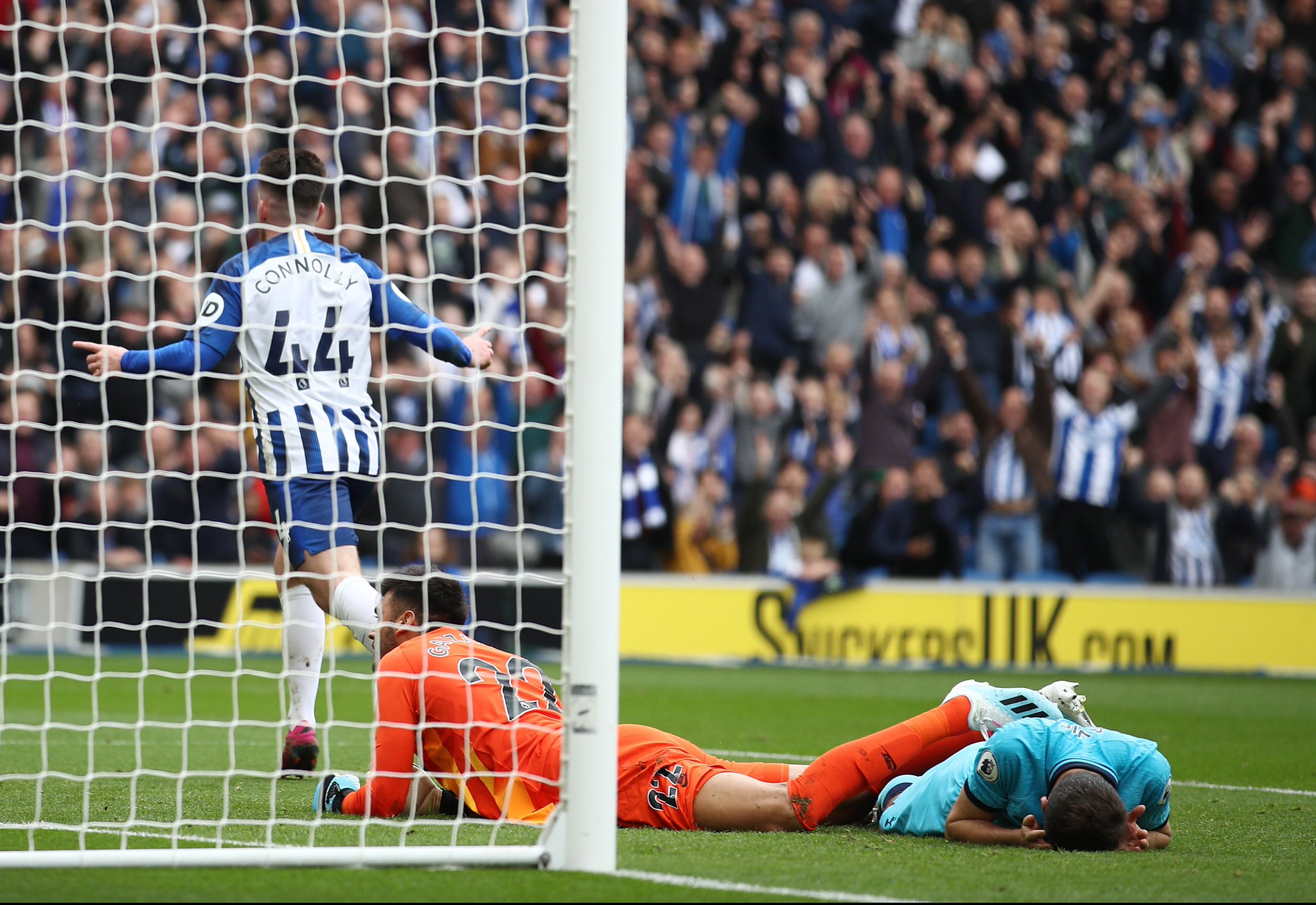 年轻活力和 年轻活力和